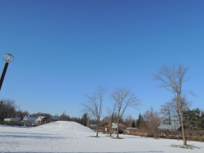DSCN0561.jpg