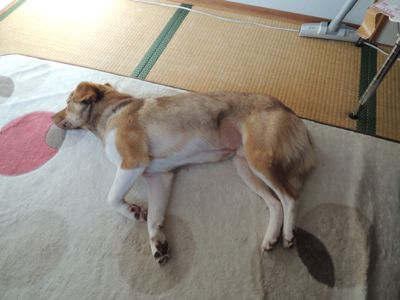 DSCN0571.jpg