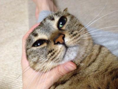 20120622214001.jpg