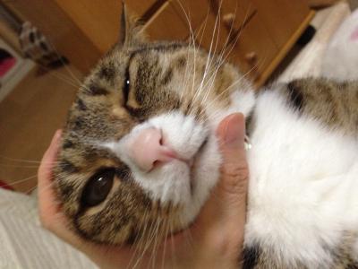 20120622222055.jpg