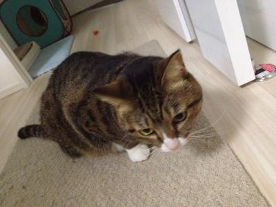 20121109163927.jpg
