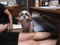 1_20120730000614.jpg