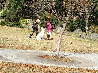 DSC_0154_20121211140500.jpg