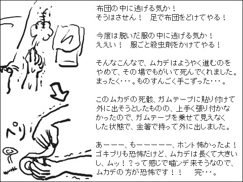 ムカデとの戦い 5