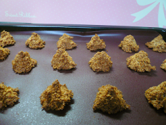 ココナッツマカロン【焼き上がり】