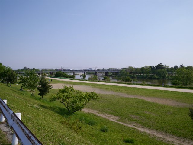 P1010010.jpg