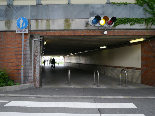 P1010033.jpg
