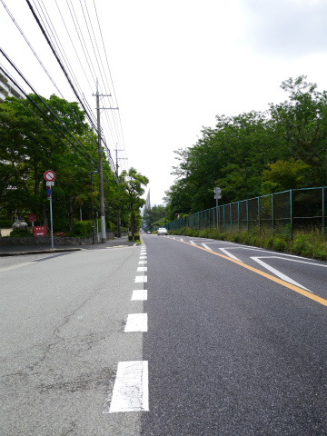 P1010412.jpg