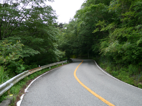 P1010414.jpg