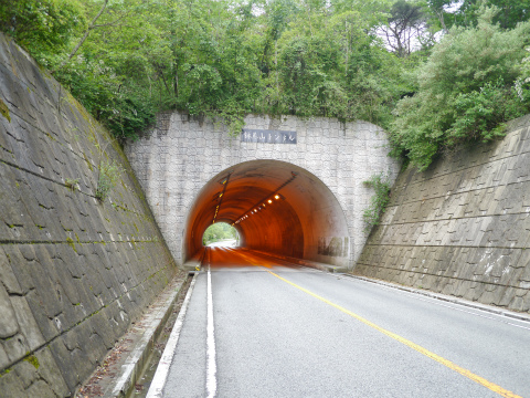 P1010416.jpg