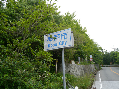 P1010419.jpg