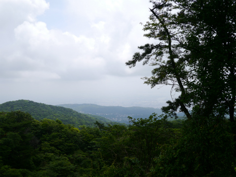 P1010421.jpg