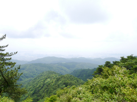 P1010427.jpg