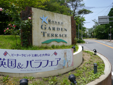 P1010428.jpg