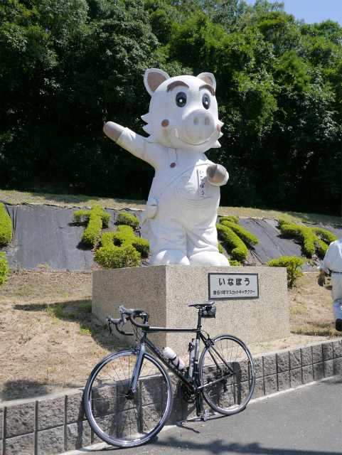 P1010444.jpg