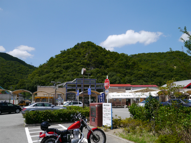 P1010445.jpg
