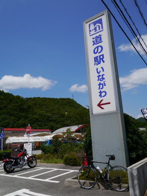 P1010446.jpg