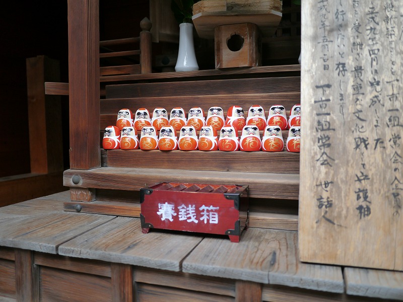 P1010560.jpg