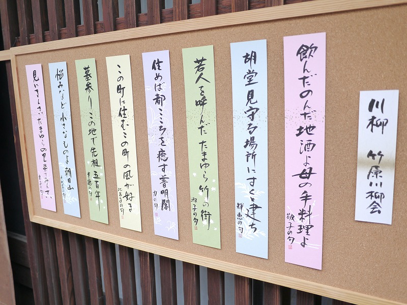 P1010579.jpg