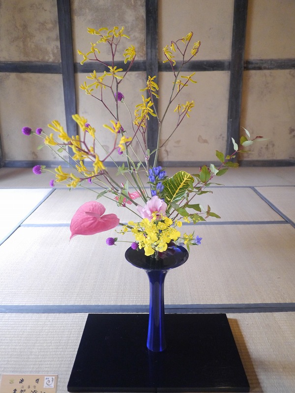 P1010630.jpg