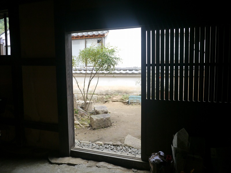 P1010634.jpg