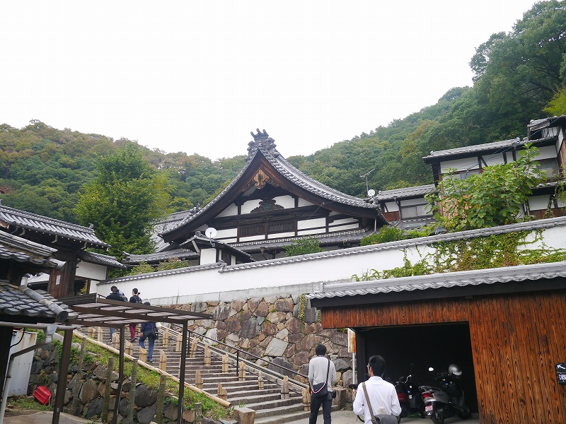 P1010649.jpg