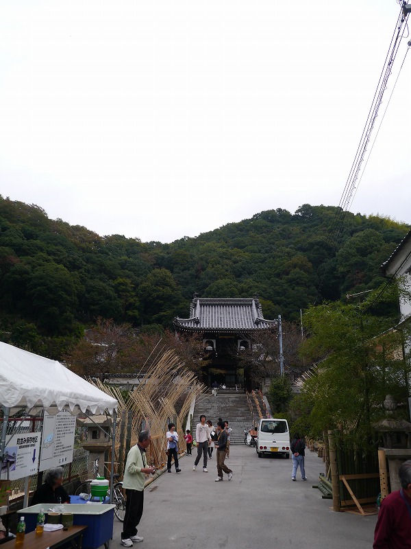 P1010658.jpg
