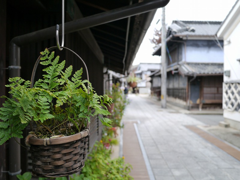 P1010672.jpg