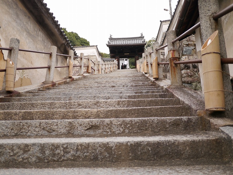 P1010683.jpg