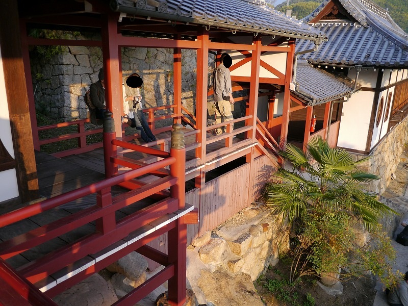 P1010881.jpg