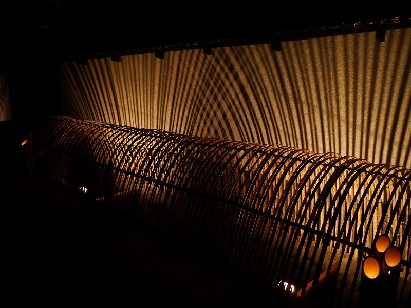 P1010973.jpg
