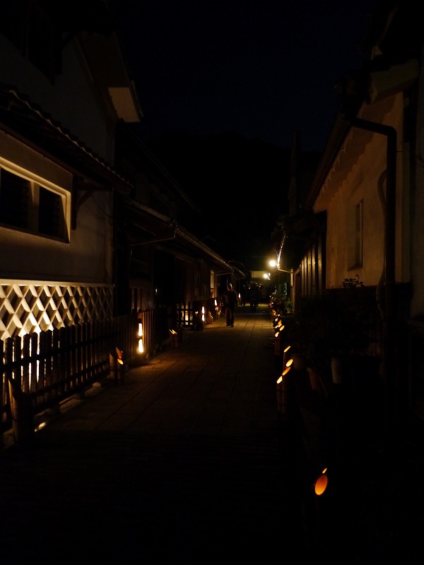 P1010982.jpg