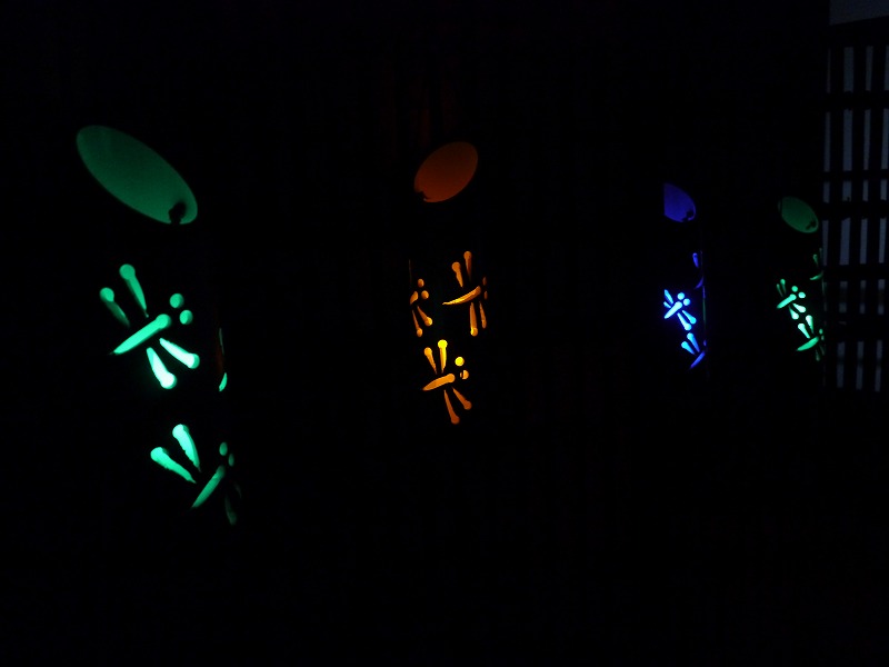 P1020030.jpg