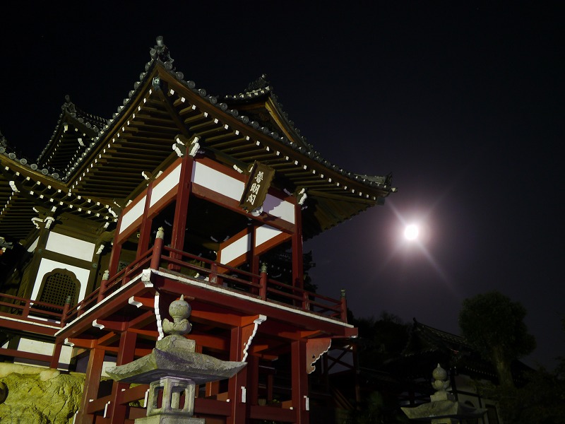 P1020210.jpg