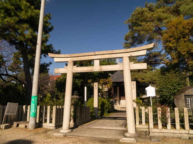 P1020317.jpg