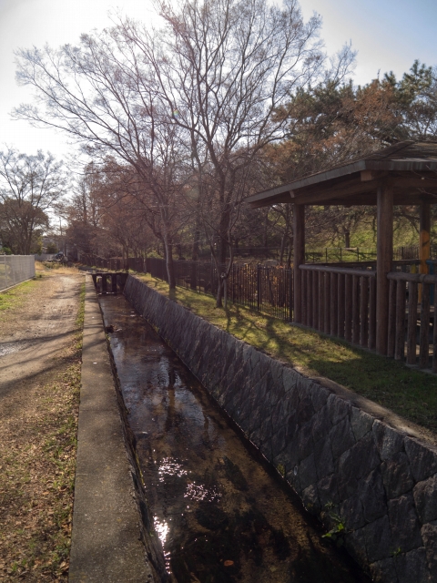 P1020365.jpg
