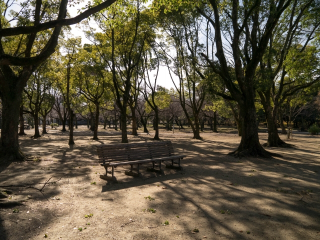 P1020375.jpg
