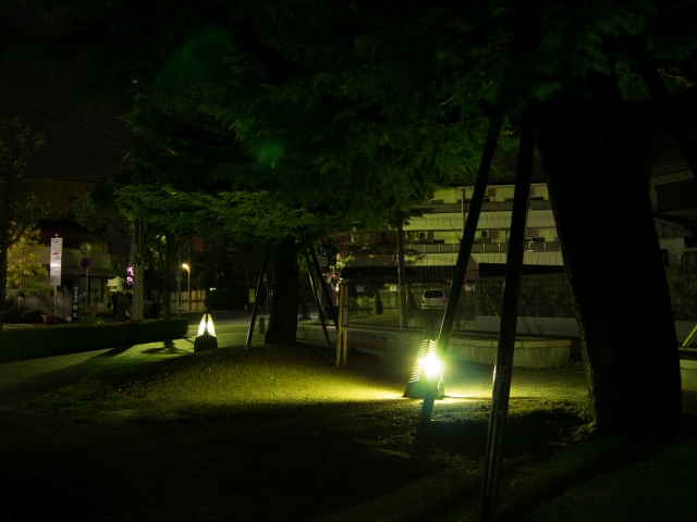 P1020428.jpg