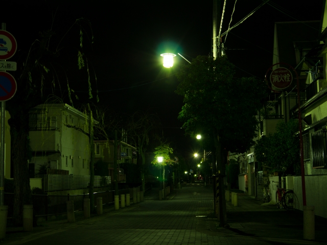 P1020446.jpg