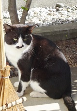DSC03983.jpg