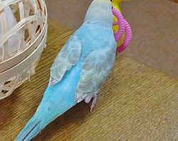 DSC03992.jpg