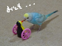 DSC04001.jpg