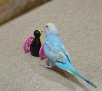 DSC04002.jpg