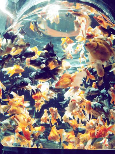 20120909_135522.jpg