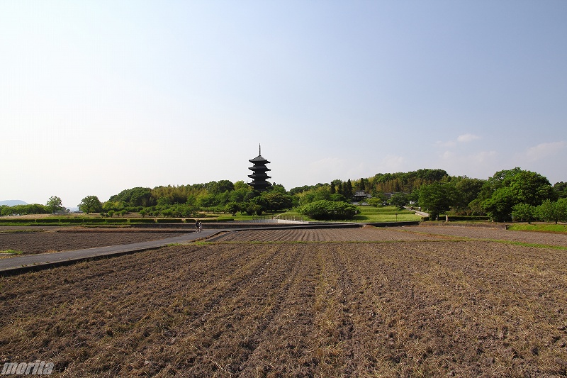 120606-1.jpg