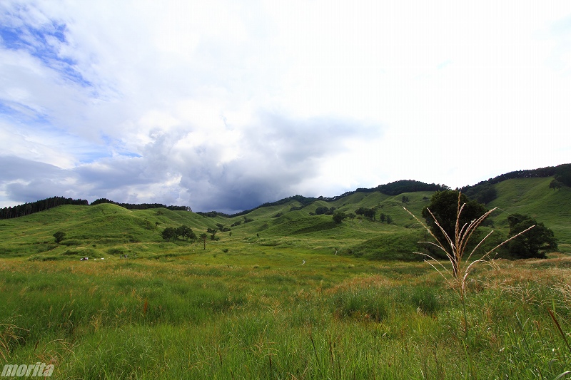 120905-6.jpg