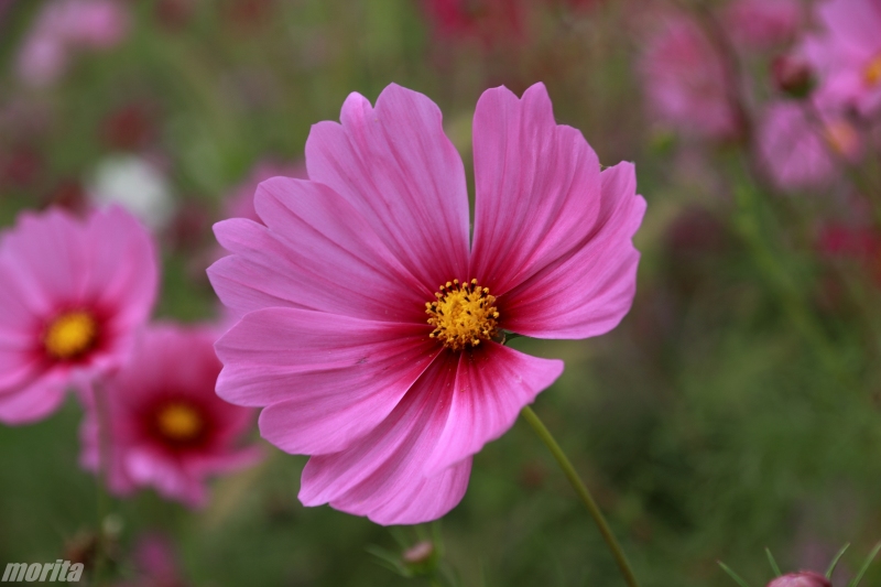 121011-9.jpg
