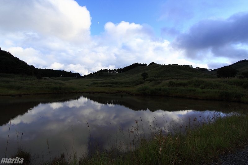 IMG_8643.jpg