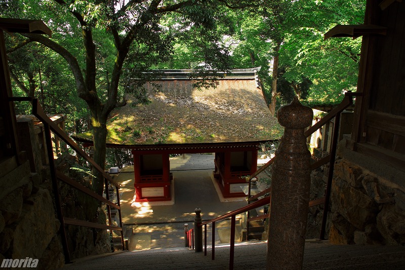kibitsu-1.jpg