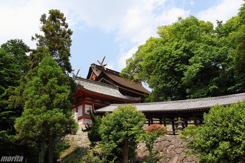 kibitsu-5.jpg
